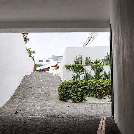 Sao Miguel Charming House By Lfc Apts Понта Делгада Екстериор снимка